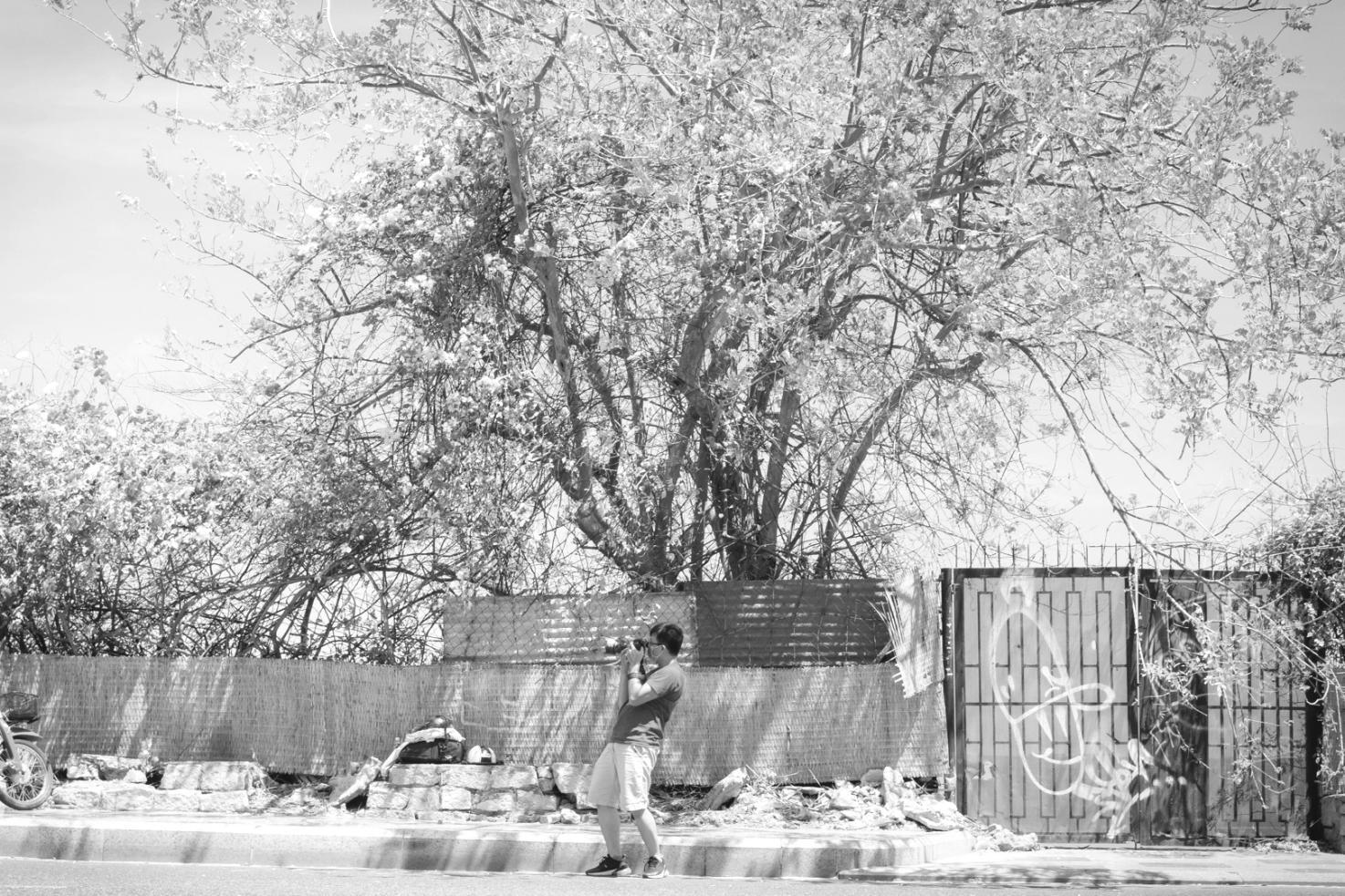 Пример работы с естественным освещением