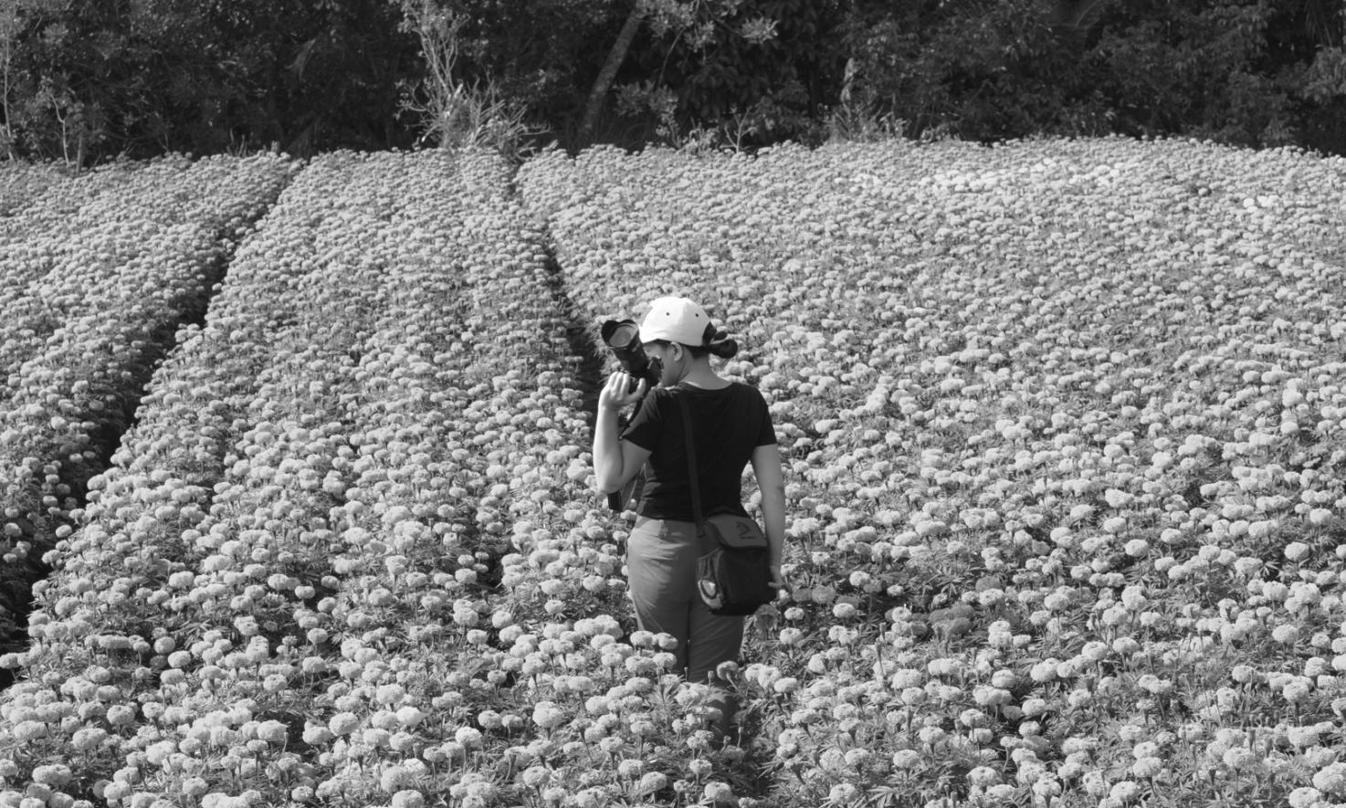 Процесс обработки фотографий в Adobe Lightroom